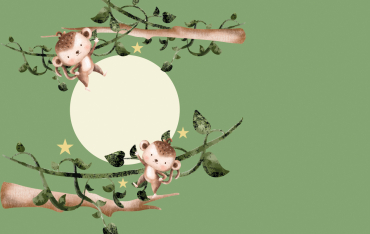 Modello configuratore