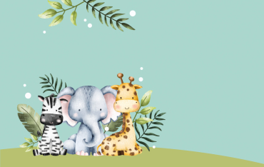 Modello configuratore